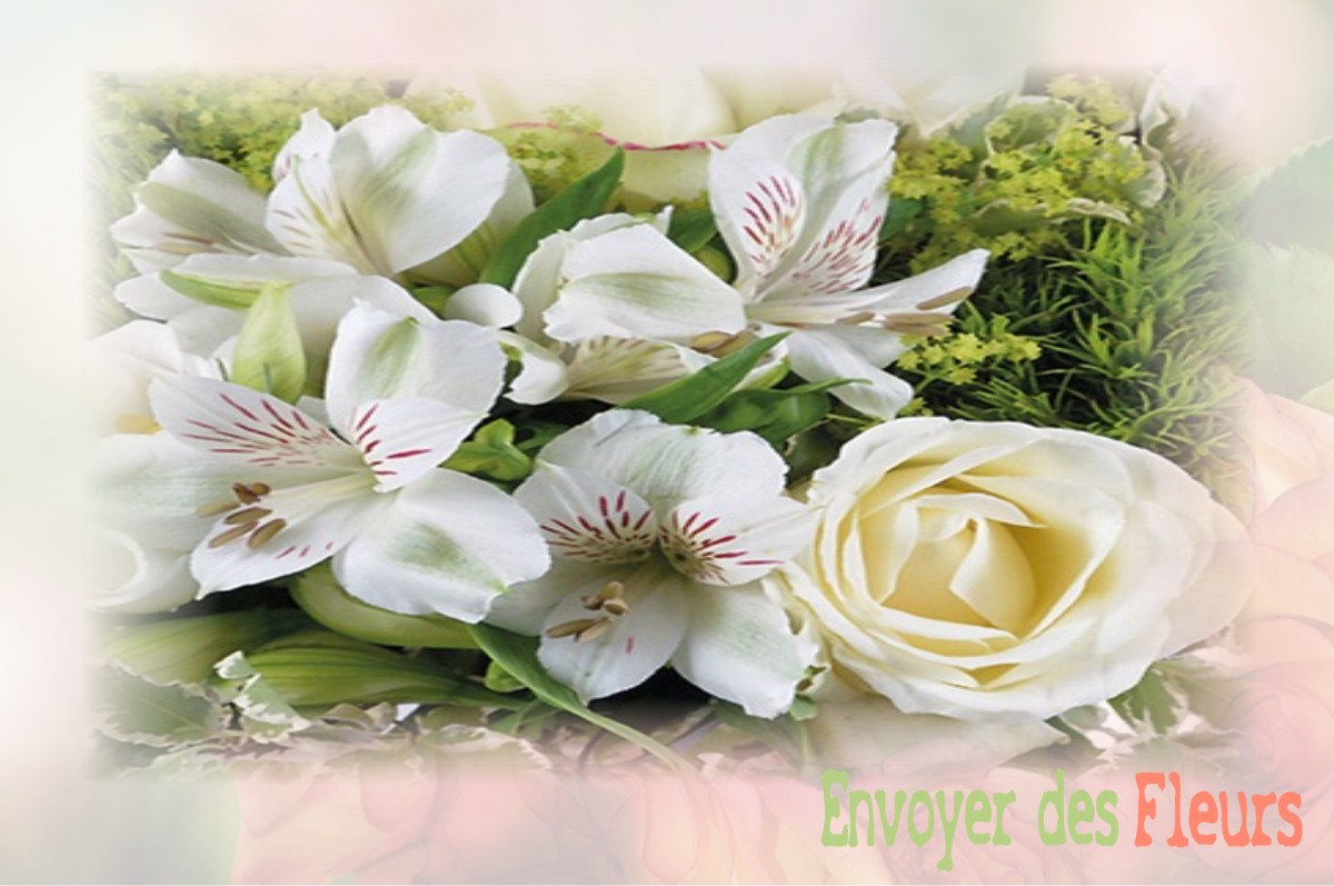 envoyer des fleurs à à SAINT-ILLIERS-LA-VILLE